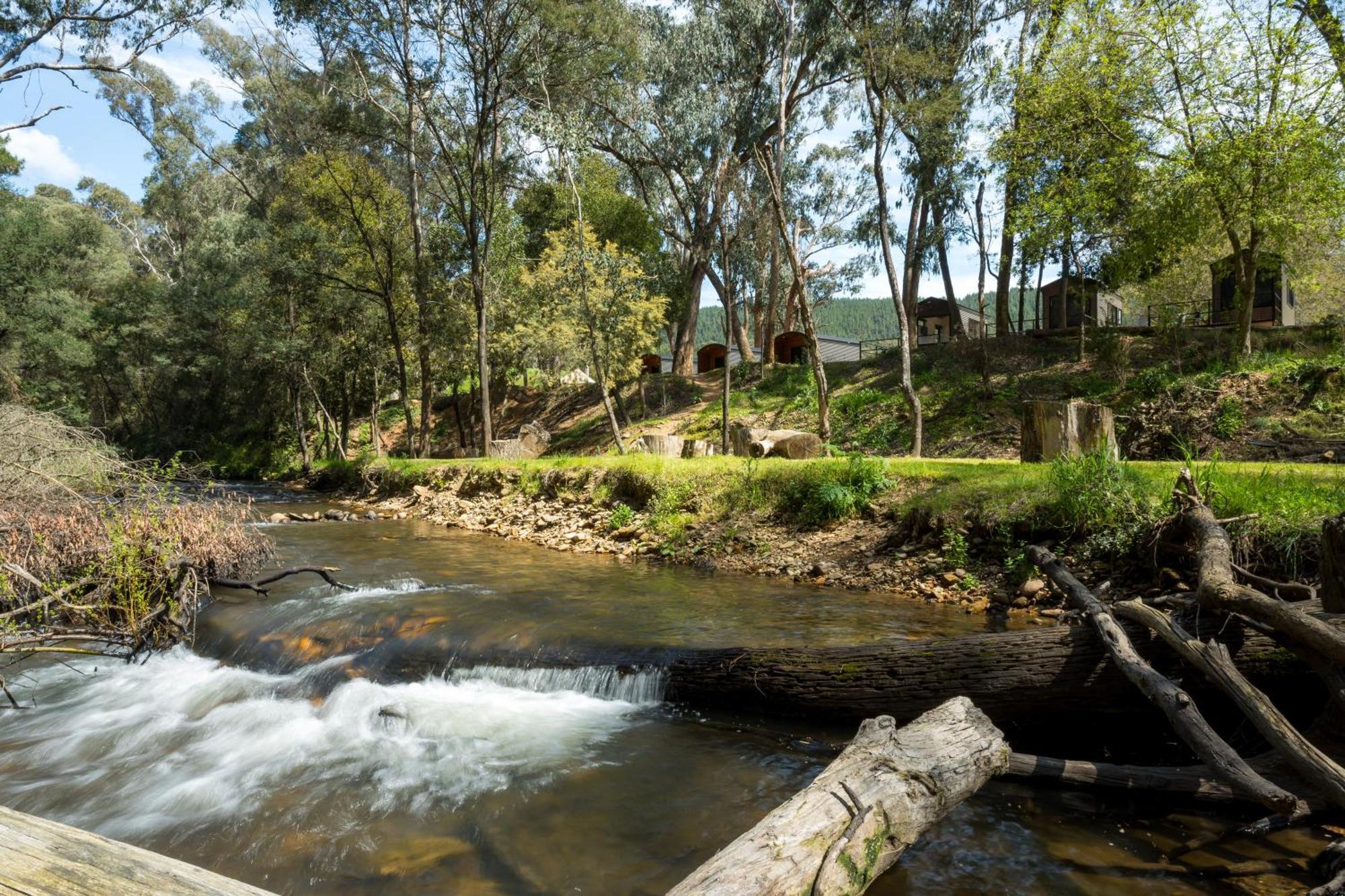 Bright Cabin Park ภายนอก รูปภาพ